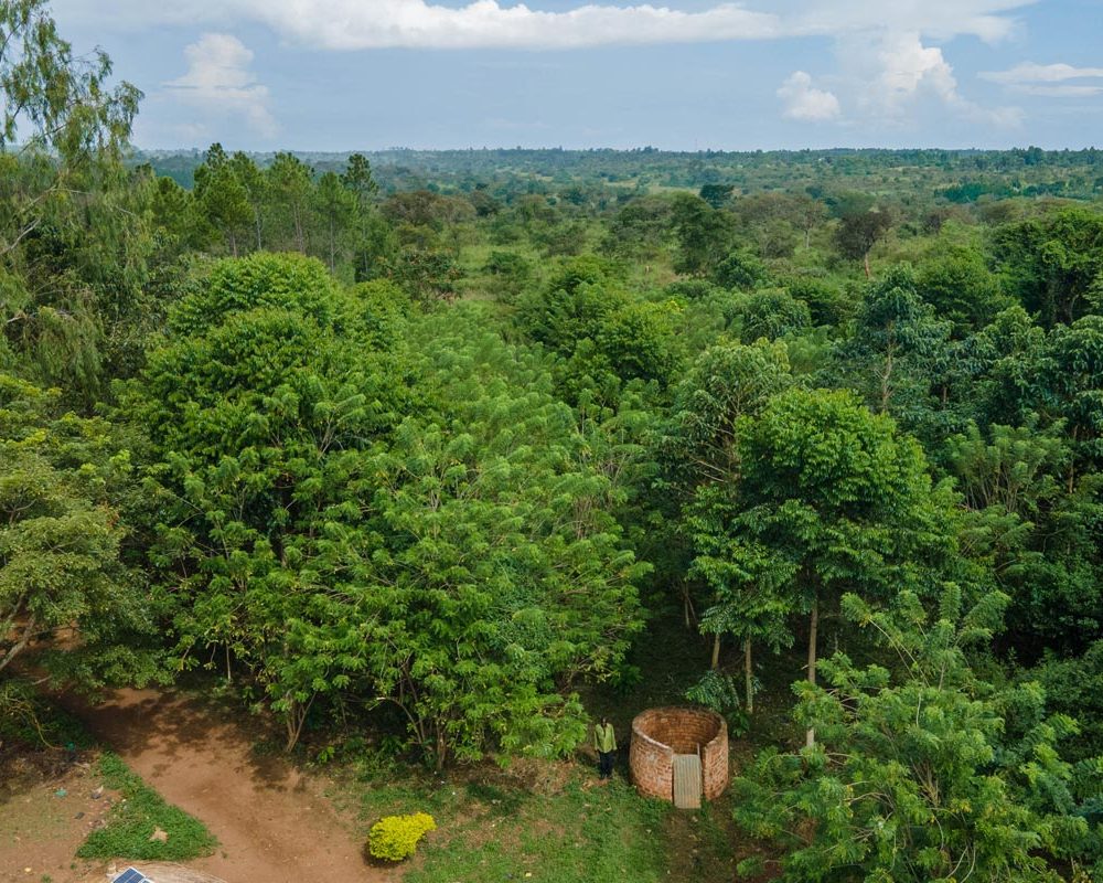 cocoa-farming-1